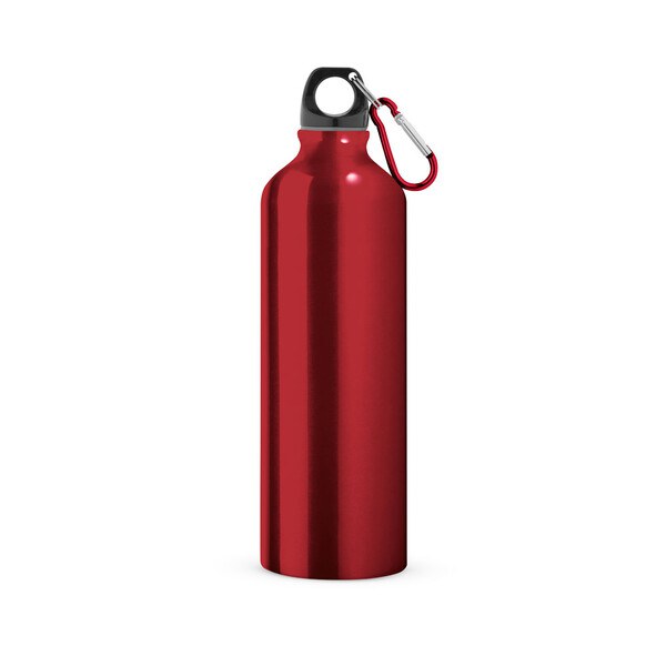 Aluminium sports bottle with carabiner 800 mL - Egotier 94688