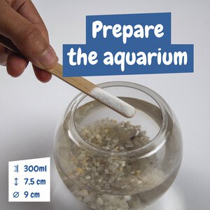 Educational game for children - Science4You 35828