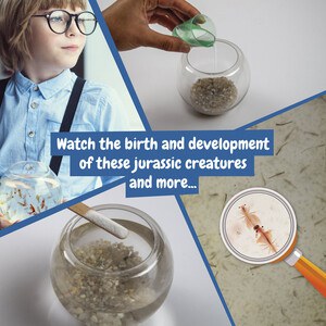 Science4You 35830 - Educational game supplied with a kraft paper gift bag (90 g/m²)